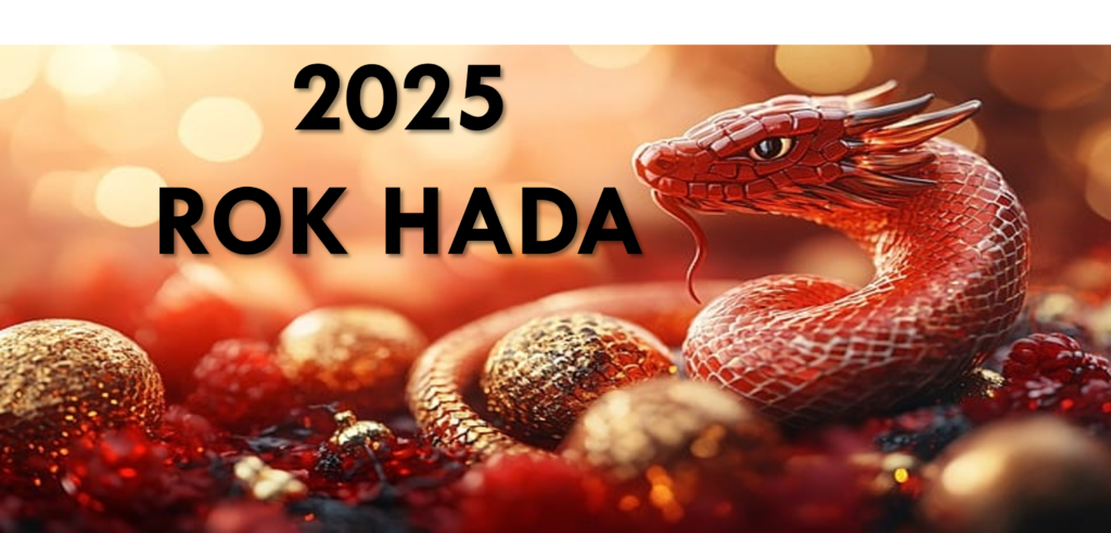 2025 – PROČ SE V ROCE 2025 BUDE ROZHODOVAT O BUDOUCNOSTI?